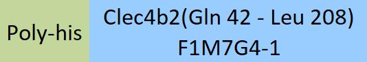 Clec4b2 Structure