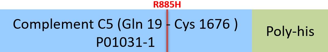 Complement C5 Structure