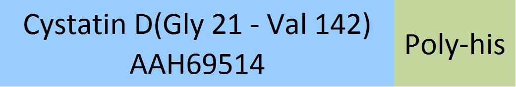 Cystatin D Structure