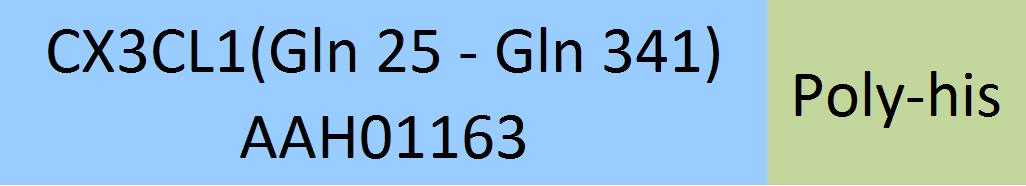 CX3CL1 Structure