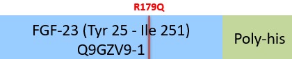 FGF-23 Structure