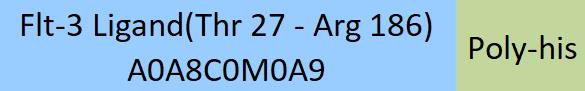Flt-3 Ligand Structure