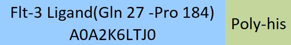 Flt-3 Ligand Structure
