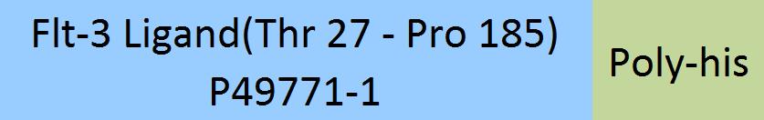Flt-3 Ligand Structure
