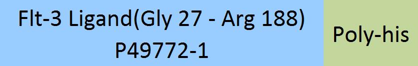 Flt-3 Ligand Structure