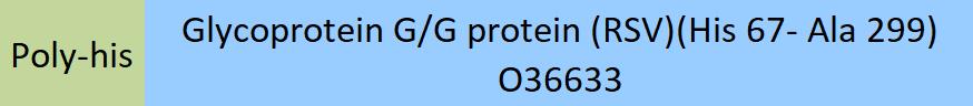 Glycoprotein G/G protein (RSV) Structure