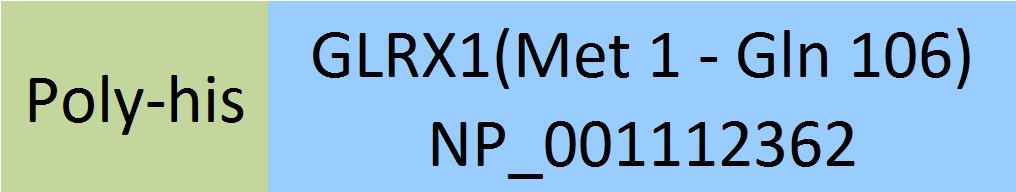 Glutaredoxin 1 Structure