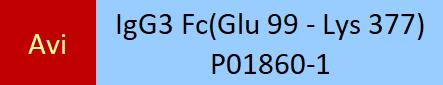 IgG3 Fc Structure