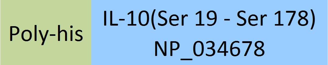 IL-10 Structure