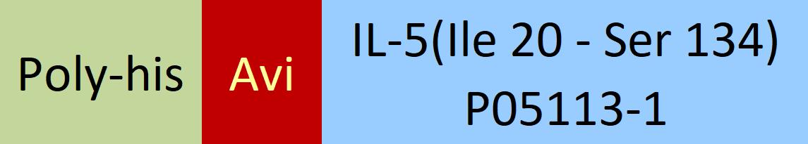 IL-5 Structure