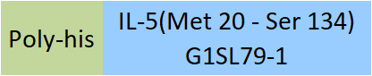 IL-5 Structure