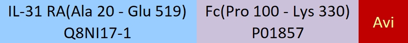 IL-31 RA Structure