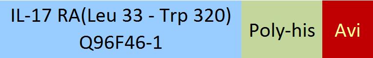 IL-17 RA Structure