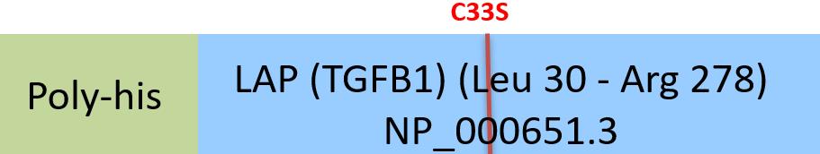 LAP (TGF-beta 1) Structure