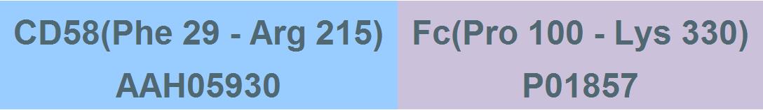 CD58 Structure