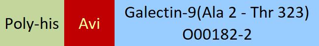 Galectin-9 Structure