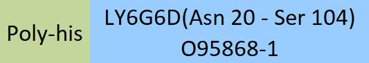 LY6G6D Structure