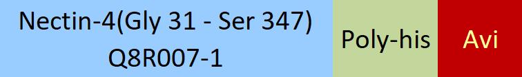 Nectin-4 Structure