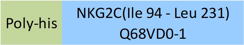 Online(Ile 94 - Leu 231) Q68VD0-1