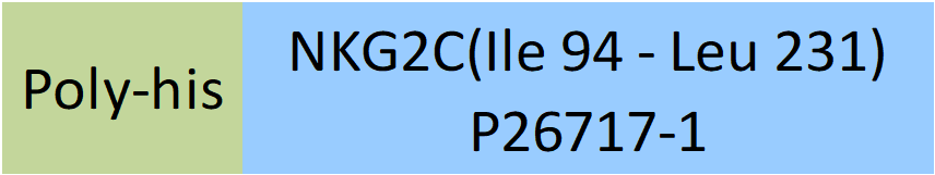 Online(Ile 94 - Leu 231) P26717-1