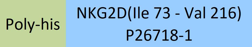 NKG2D Structure