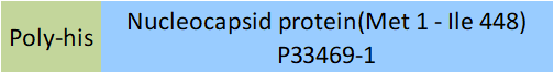 Nucleocapsid protein Structure