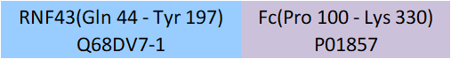 RNF43 Structure