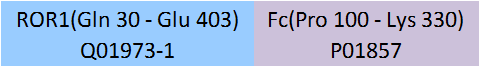 ROR1 Structure