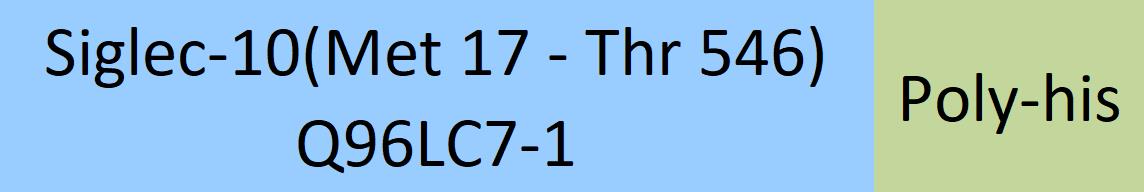 Siglec-10 Structure