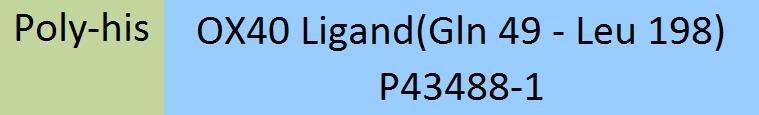 OX40 Ligand Structure