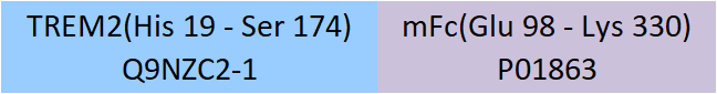 TREM2 Structure