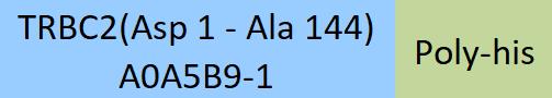 TRBC2 Structure