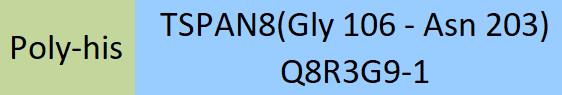 TSPAN8 Structure