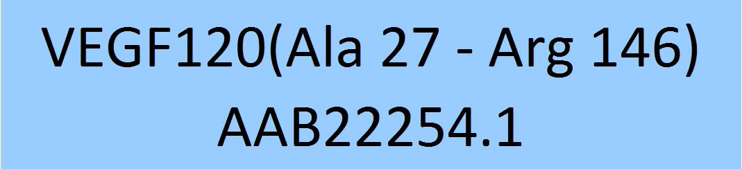 VEGF120 Structure