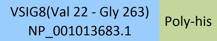 Online(Val 22 - Gly 263) NP_001013683.1