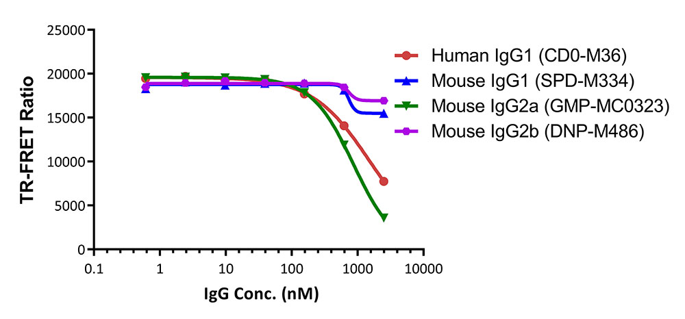 Fc gamma RIIIA / CD16a TR-FRET