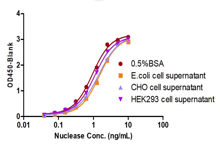 Nuclease TYPICAL DATA