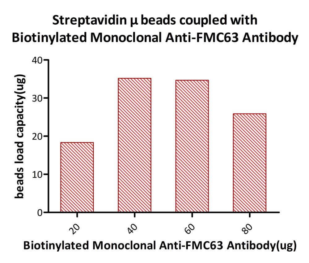 Streptavidin Beads TYPICAL DATA