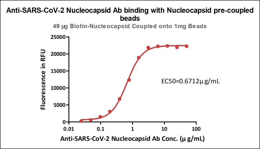 Nucleocapsid protein TYPICAL DATA