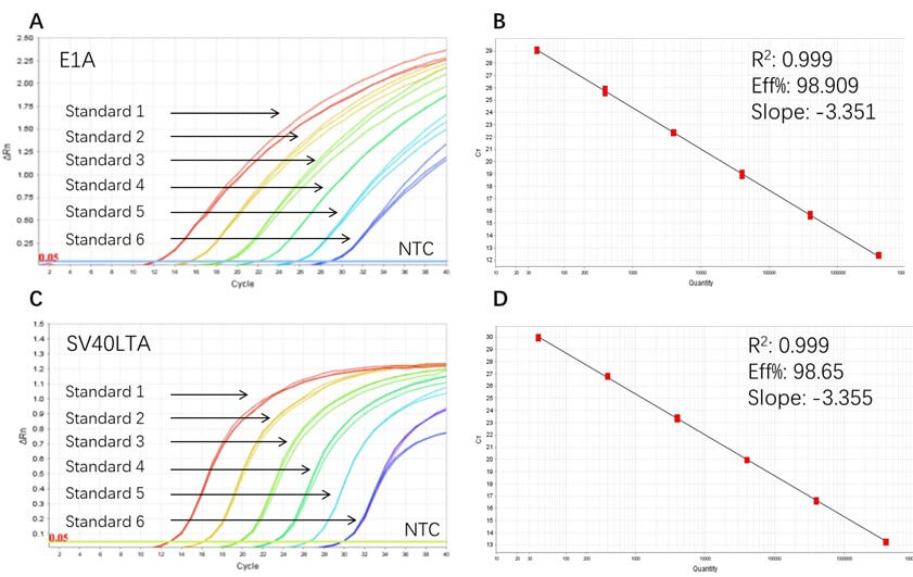 DNA TYPICAL DATA