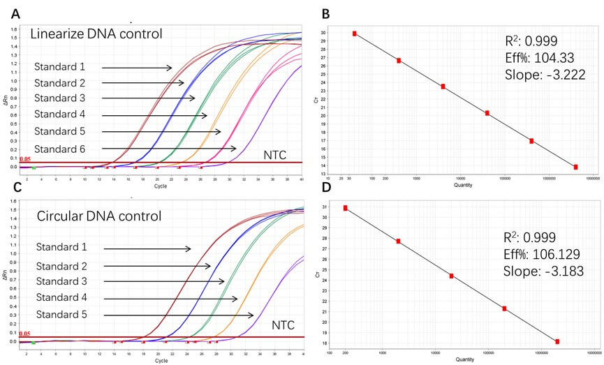 DNA TYPICAL DATA