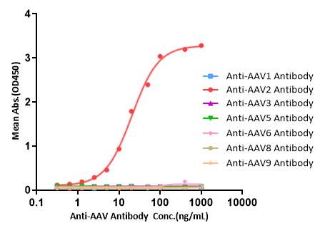 AAV2 TYPICAL DATA