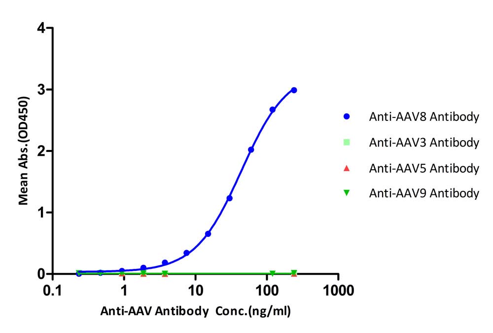 AAV8 TYPICAL DATA