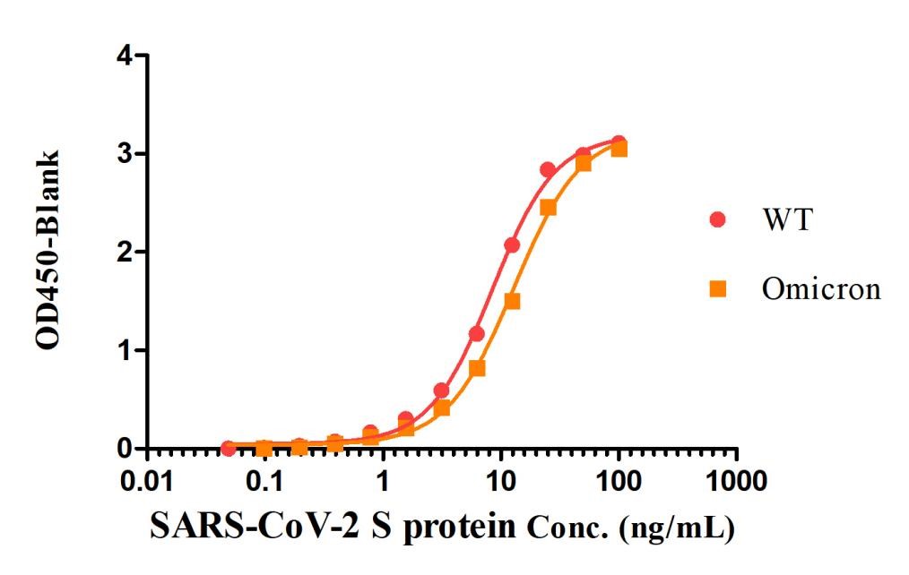 Spike protein TYPICAL DATA