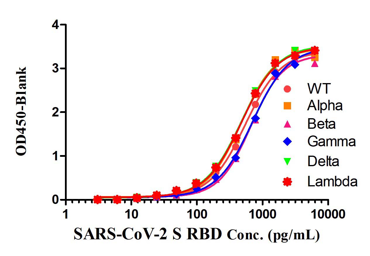 Spike RBD TYPICAL DATA