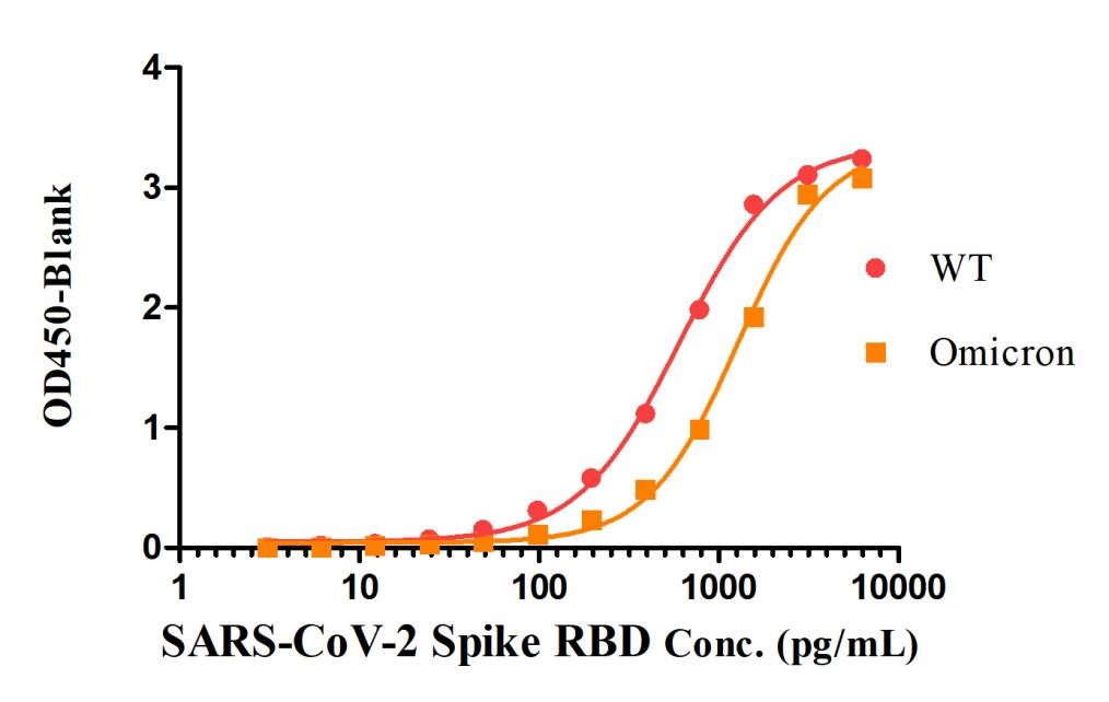 Spike RBD TYPICAL DATA