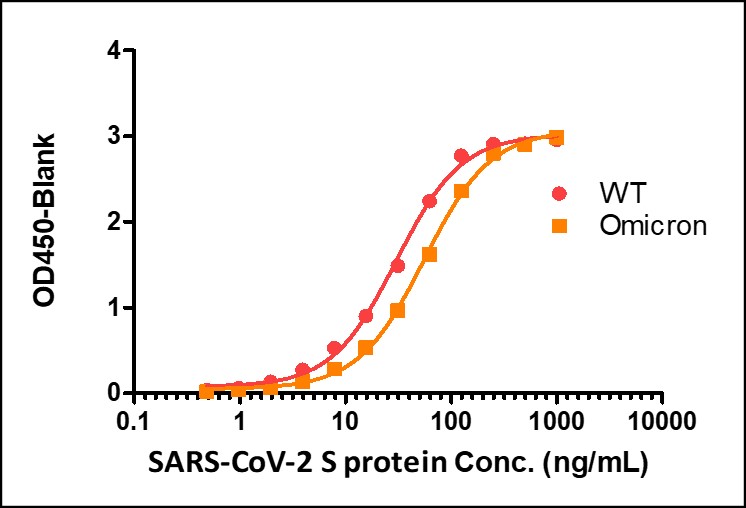 Spike RBD TYPICAL DATA