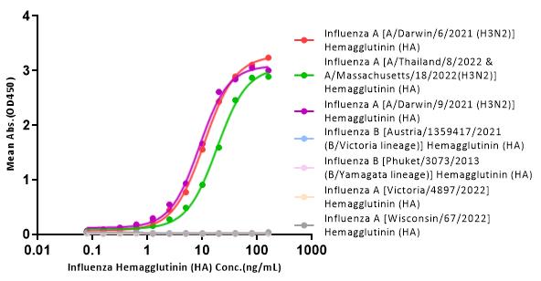 Hemagglutinin/HA (Influenza Virus) TYPICAL DATA