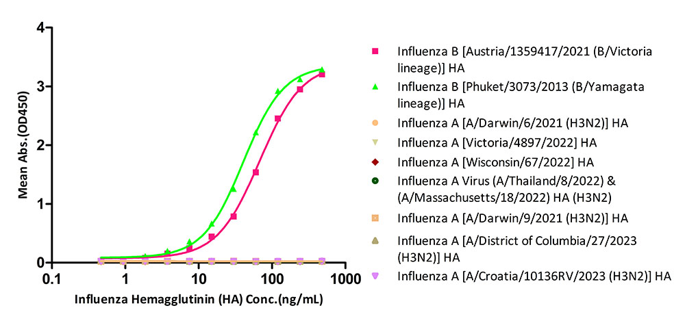 Hemagglutinin/HA (Influenza Virus) TYPICAL DATA