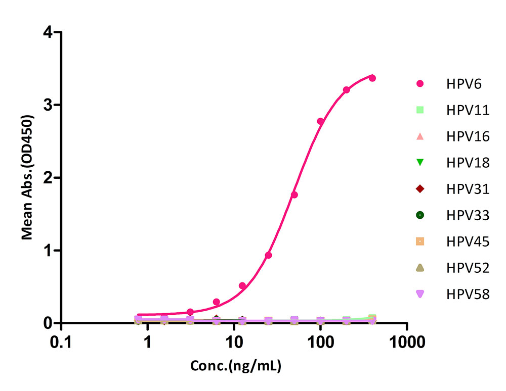 L1 TYPICAL DATA